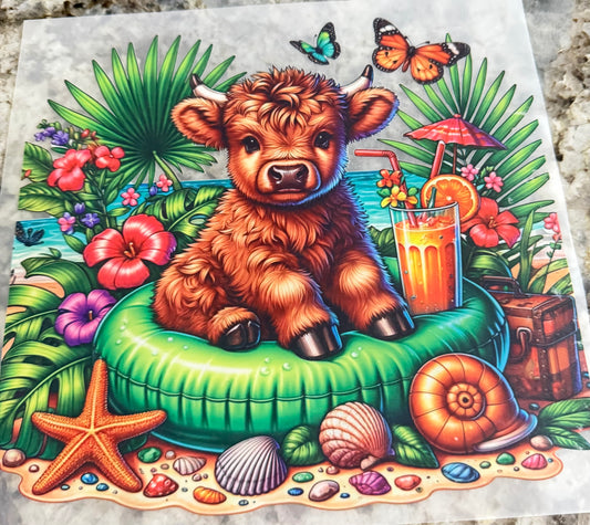 Summer cow