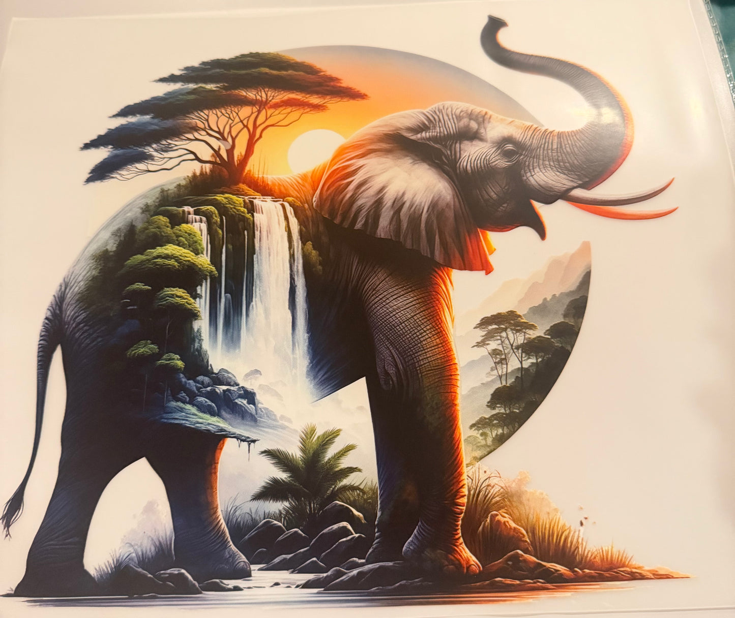 Elephant transfer