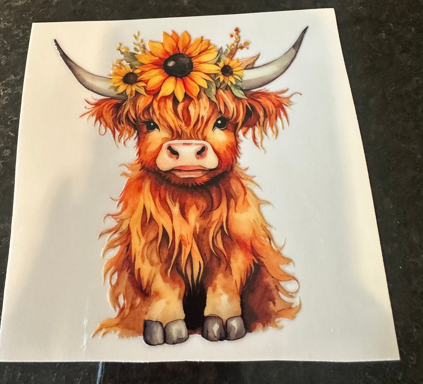 Highland cow decal with sunflower