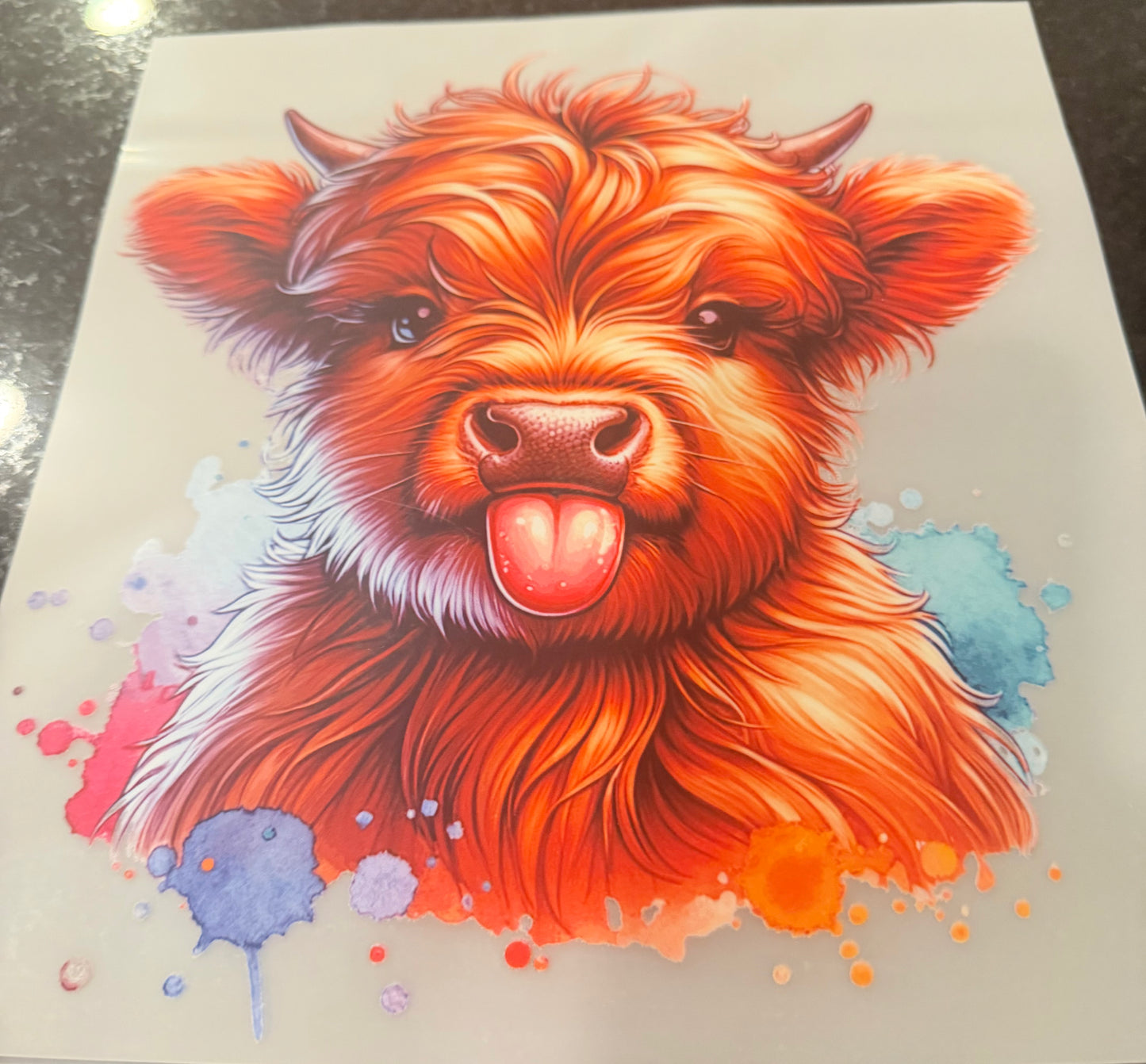 Cute cow