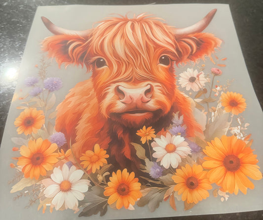 Cow floral