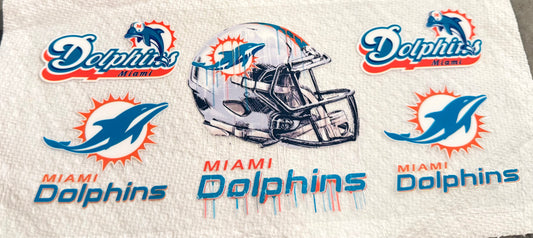 Miami dolphins