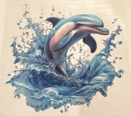 Dolphin 31