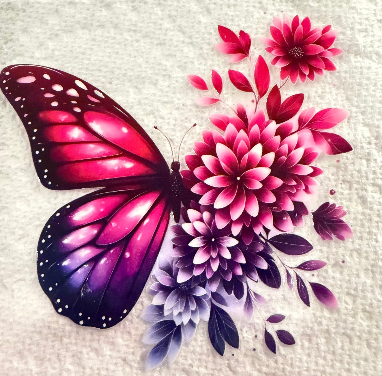 Butterfly 6