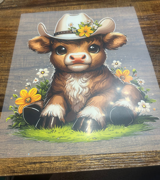 Cow transfer
