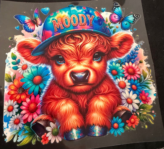 Moody cow