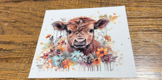 Cow decal 3