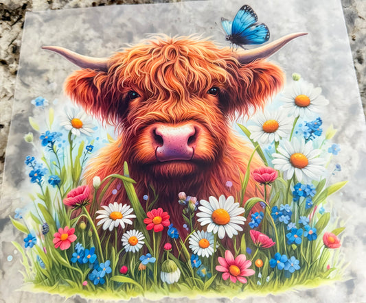 Cow flower field