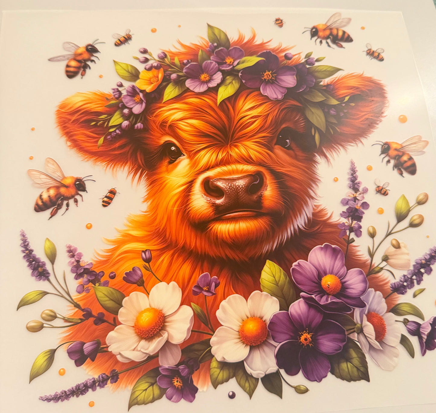 Floral cow bees