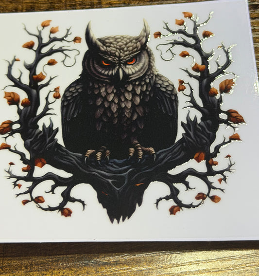 Owl decal
