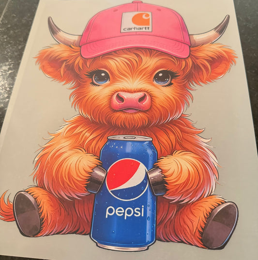 Pepsi highland cow