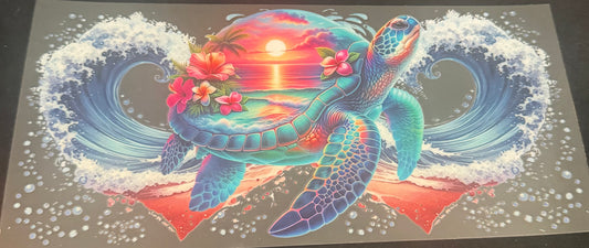 Sea turtle 10