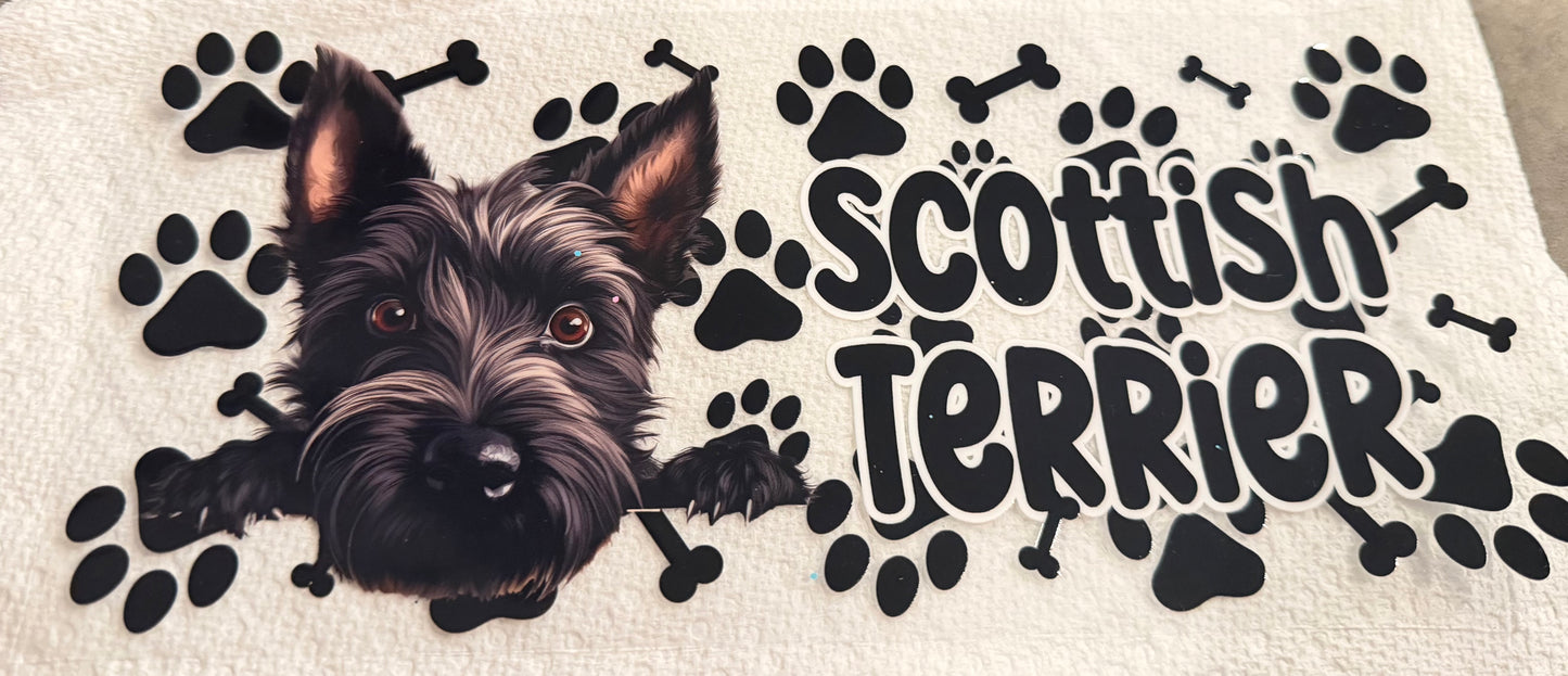 Scottish terrier