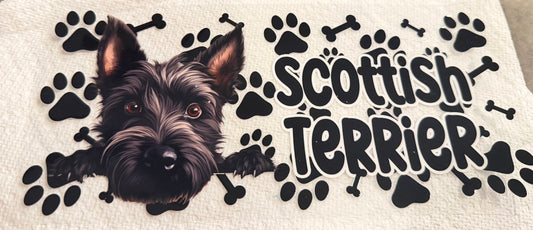 Scottish terrier
