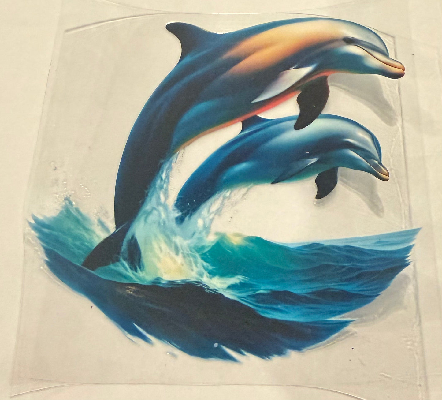 Dolphin 33