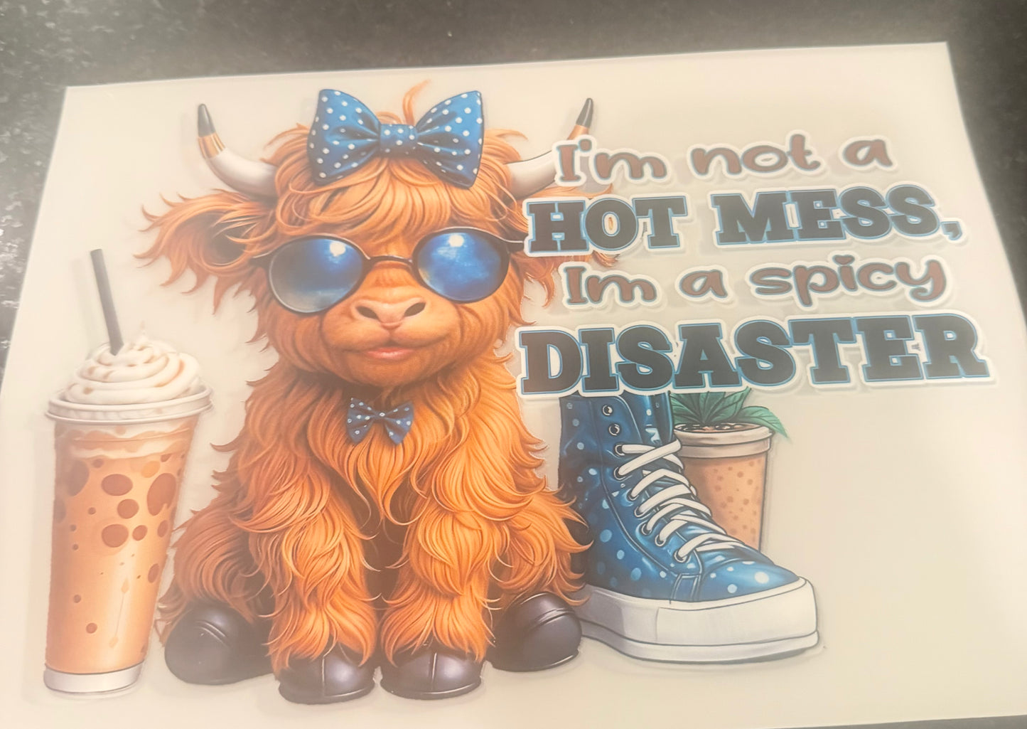I’m not a hot mess I’m a spicy disaster
