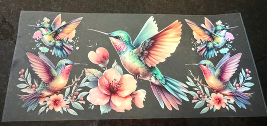 Humming birds 6