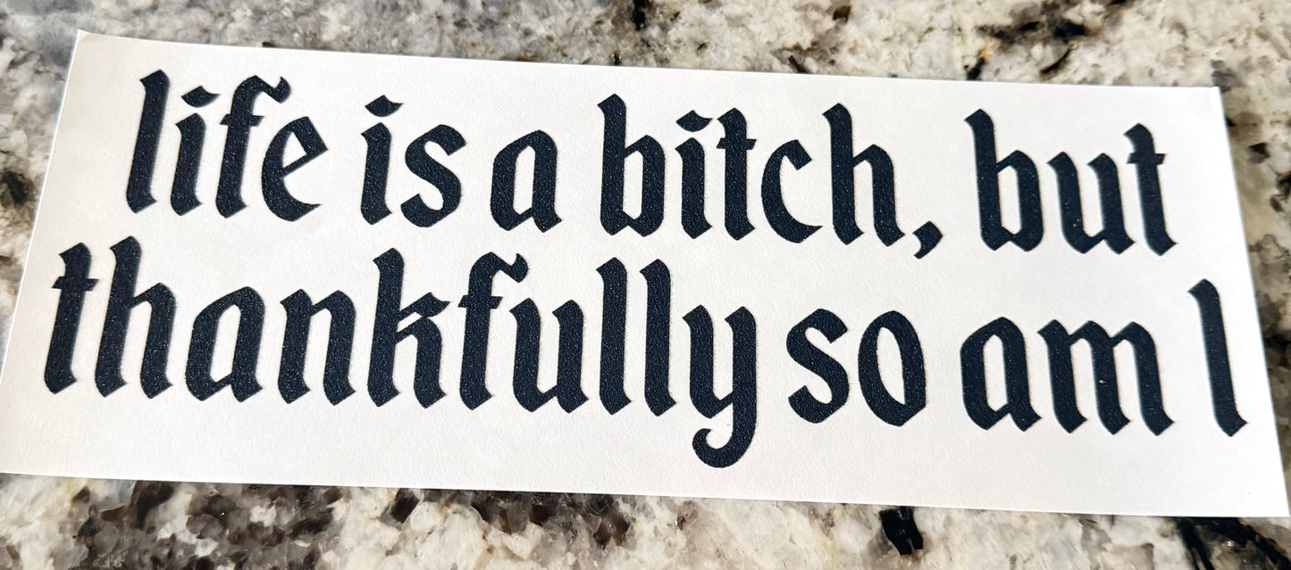 Life’s a bitch, but thankfully, so am I ￼