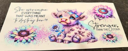 Stronger than the storm