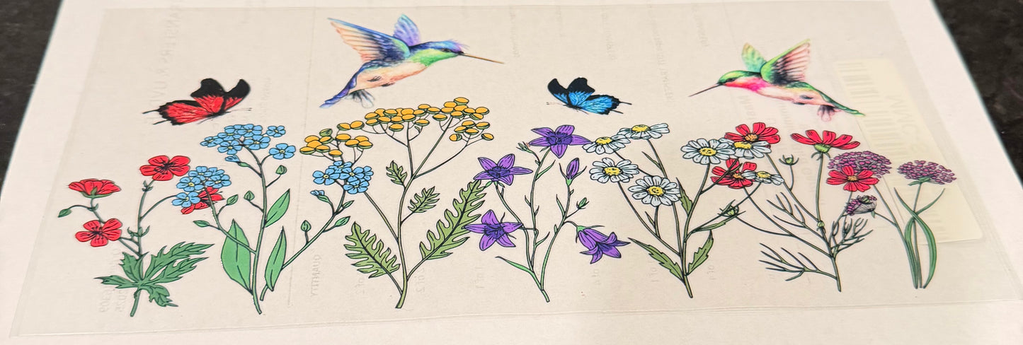 Hummingbirds 3