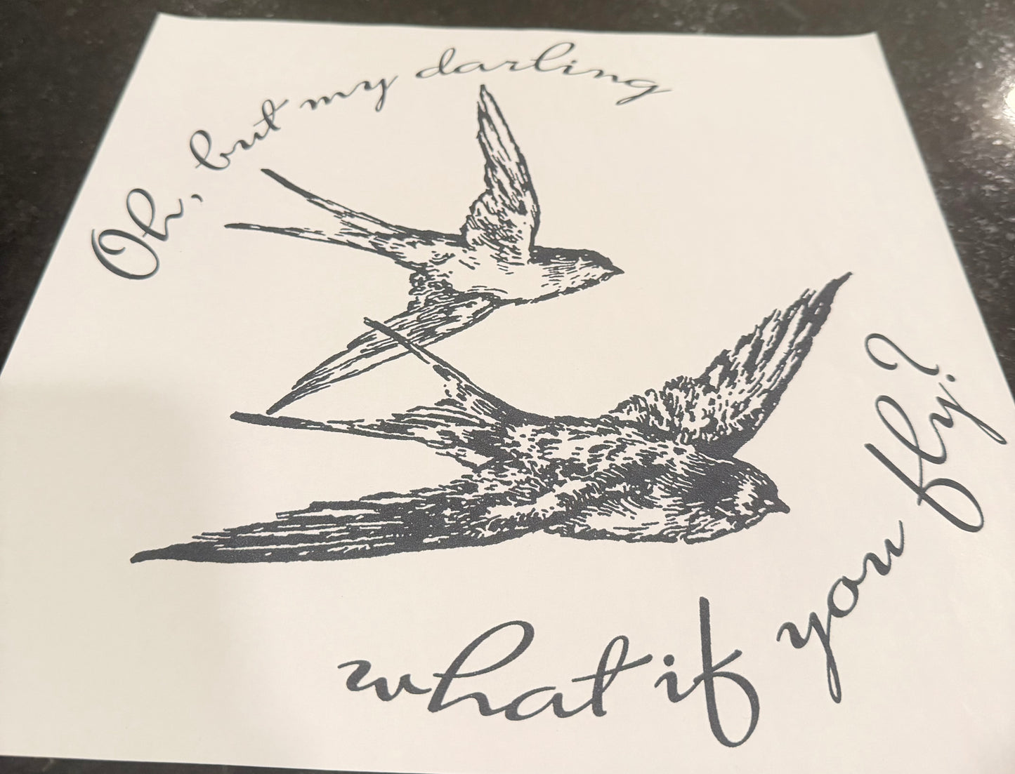 Oh, but my darling what if you fly