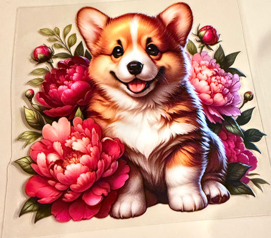 Corgi decal