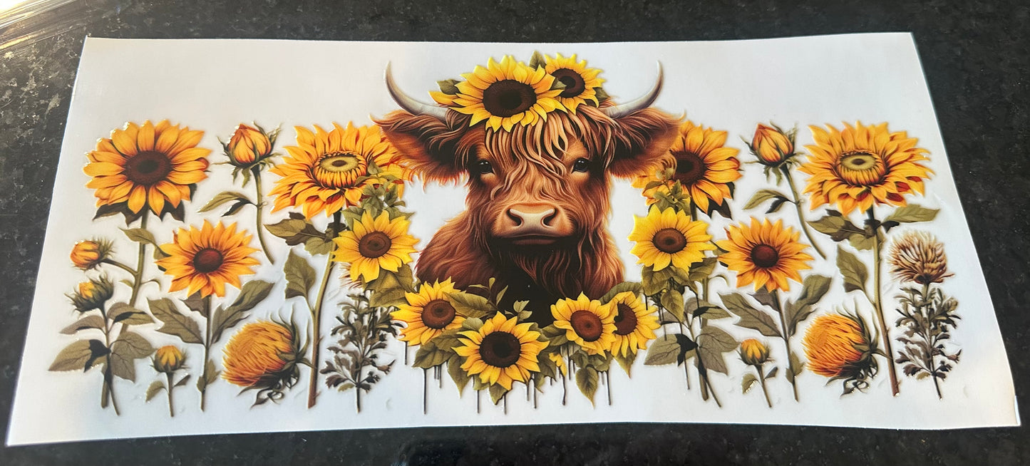 Highland cow with sunflower