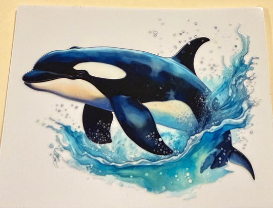 Orca