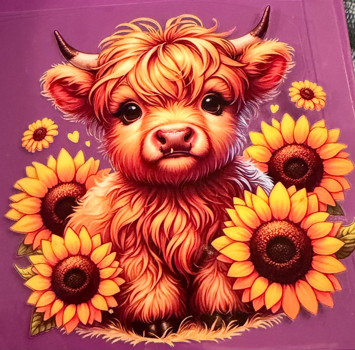 Cow 29