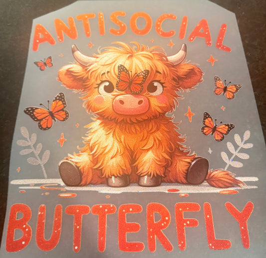 Antisocial butterfly