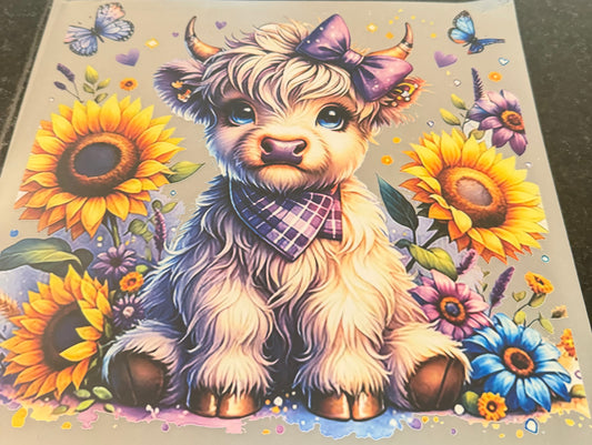 Sunflower purple cow