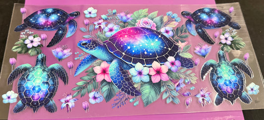 Turtle 6