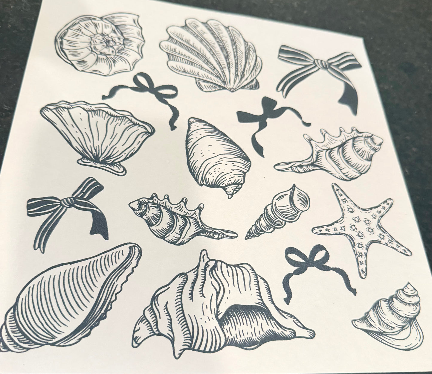 Sea shells