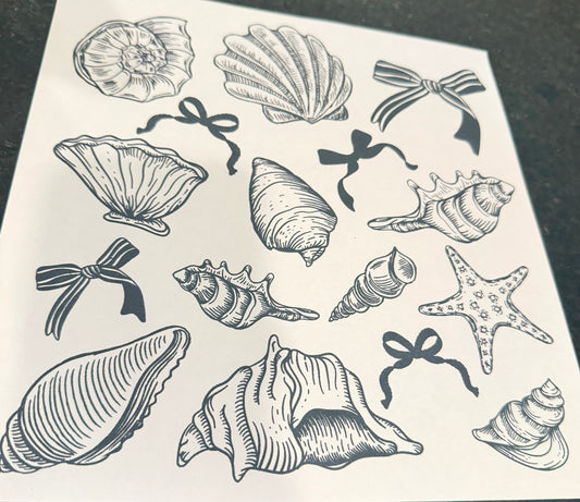 Sea shells