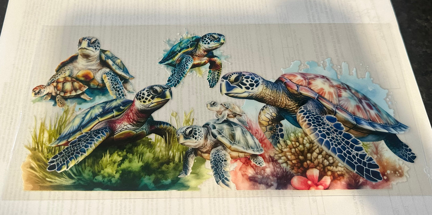 Sea turtle 3