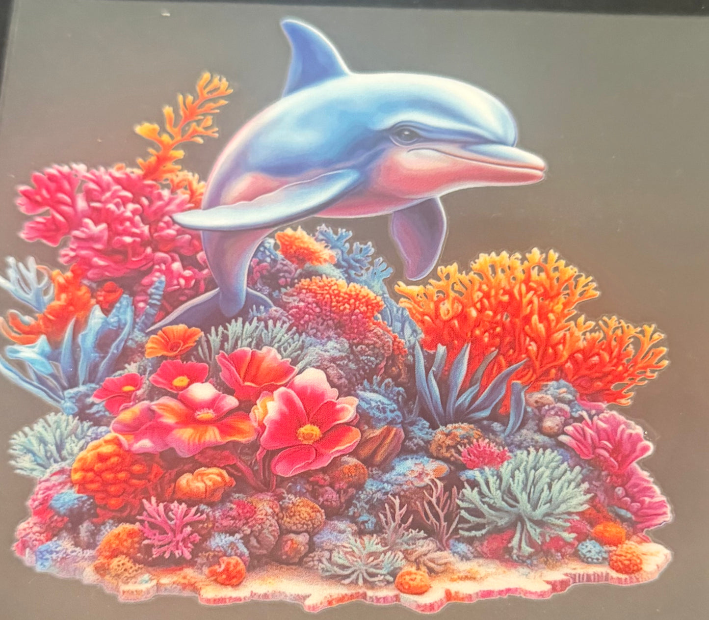 Dolphin 2