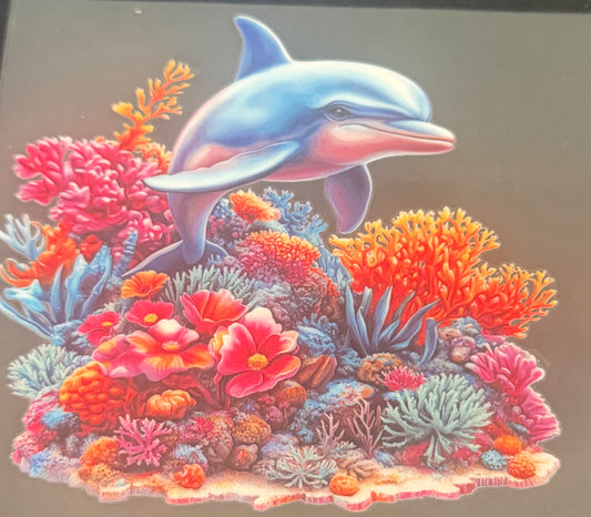 Dolphin 2