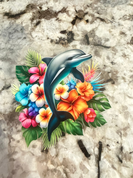 Dolphin 9