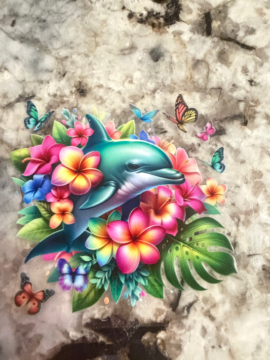 Dolphin 7