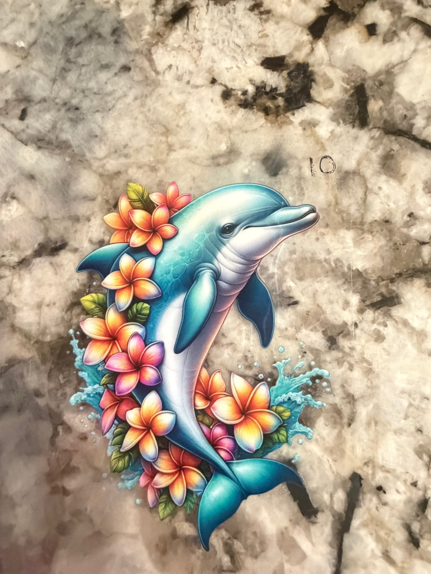 Dolphin 10