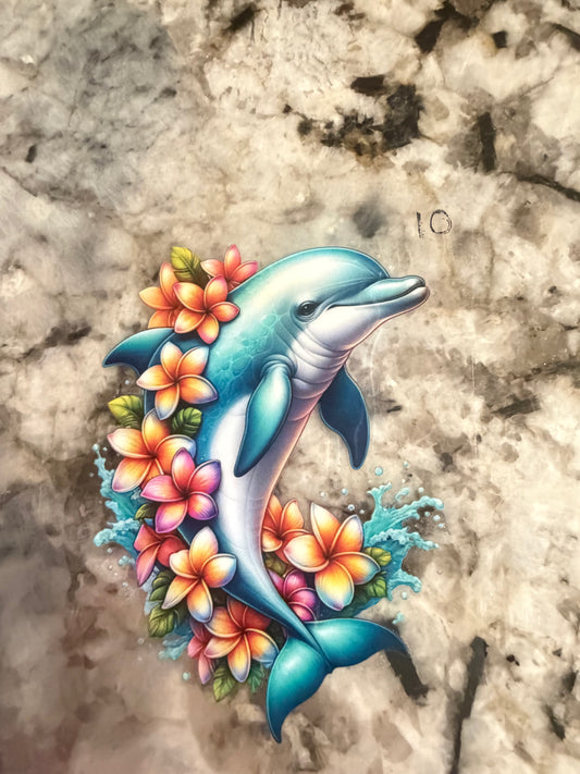 Dolphin 10