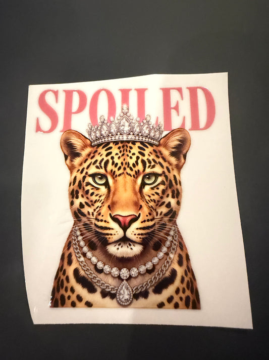 Spoiled cheetah