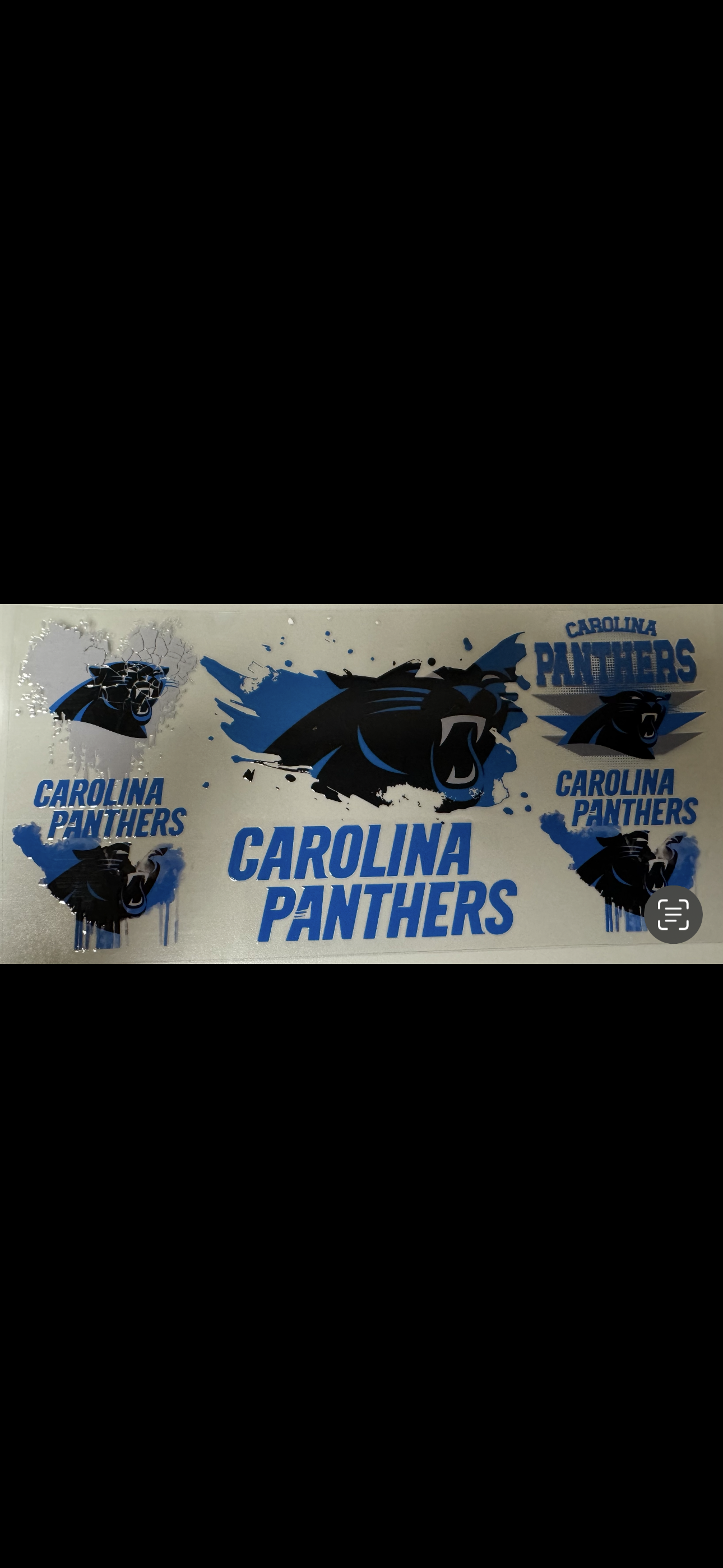 Panthers wrap