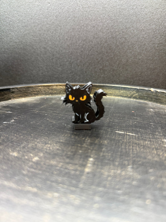 Spooky Cat