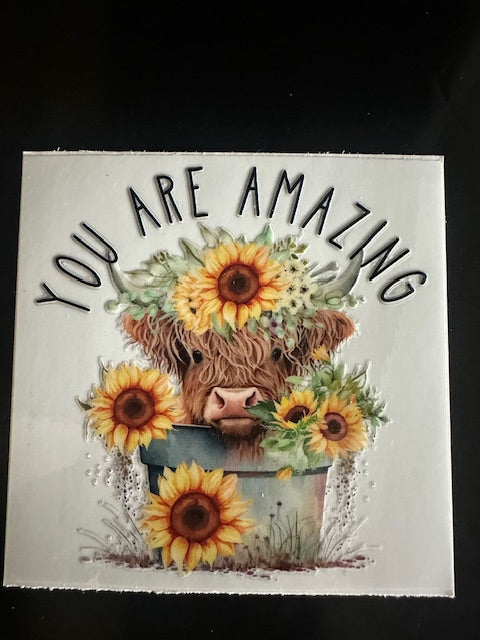 You are amazing